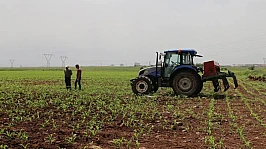 Tarımsal destekleme ödemeleri çiftçilerin hesaplarına aktarılacak
