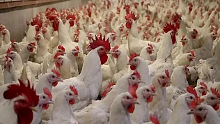 Yüzde 15'lik Artış Sonrası Bakanlık Harekete Geçti