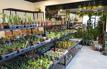 50 Bin Kişiye Hitap Edecek Dev Rekreasyon Projesi