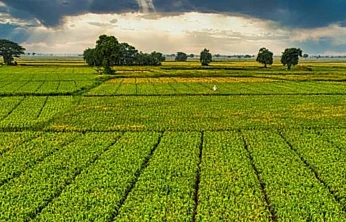 Bir milyar 46 milyon liralık tarımsal destek ödemeleri çiftçinin hesabına yatırılacak