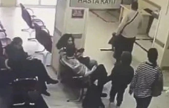 Böcek Ailesinin Şüpheli Ölümü: Otel Çalışanı ve İlaçlama Ekibi Tutuklandı