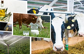 Çiftçilere tarımsal destekleme ödemesi yapılacak