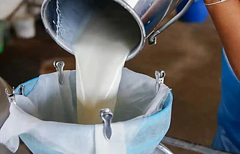 Çiğ Süt Fiyatı Güncellendi: Yeni Tarife 22 Ocak'ta Başlıyor