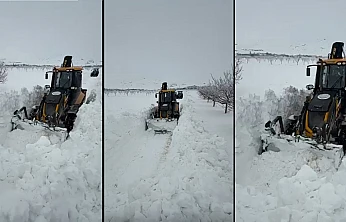 Darende'de Tipi Hayatı Olumsuz Etkiliyor