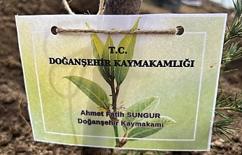 Doğanşehir'de ÖNEM Projesi Kapsamında Fidan Dikim Etkinliği Gerçekleştirildi