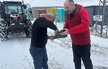 Doğanşehir Kaymakamı Kar Mesaisinde