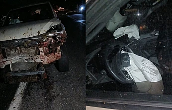 Elazığ'da Balık Şirketine Ait Araç Koyun Sürüsüne Çarptı