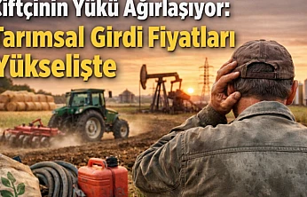 Enerji ve Yağlayıcılar Zirvede: Tarım-GFE'de Aylık Artış %1,84