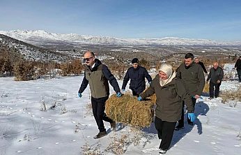Eskiköy'de Yaban Hayatı İçin Ortak Çalışma