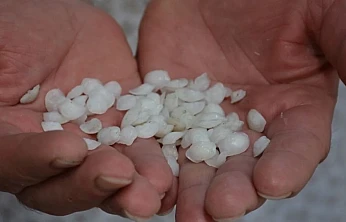 Eşkina Balığı Taşı Mucizesi