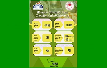 Gıda Denetimlerinde Rekor Rakamlar: 185 İşletmeye Ceza