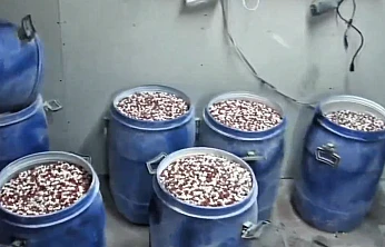 İstanbul ve İzmir'de uyuşturucu operasyonu: Milyonlarca hap ele geçirildi