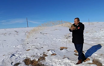 Kar Altında Yaşam Mücadelesi: Darende'de Yaban Hayvanlarına Destek