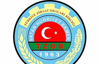 Kasım Ayının Zam Şampiyonu Marketlerde Pırasa Oldu