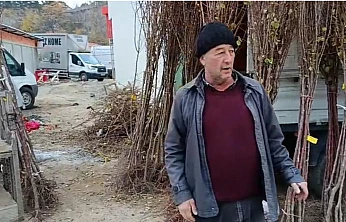 Kayısı Fidanı Talebi Artıyor: Üretici Yatırımdan Vazgeçmiyor