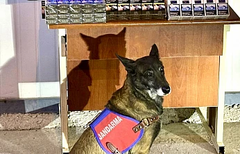 Kayseri İl Jandarma Komutanlığı'ndan Kaçakçılığa Darbe