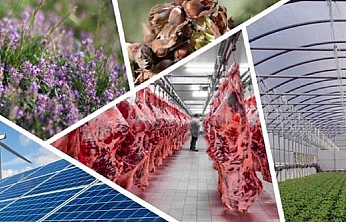 Kırsalda Üretimi Güçlendirecek Karar Resmi Gazete'de