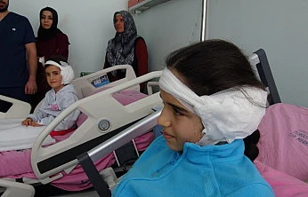 Kuzenlere Yapay Kulak Umudu: İşitme ve Konuşma Gelişimleri Desteklenecek