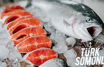 Levrek, çipura ve Türk somonu dünya sofralarında
