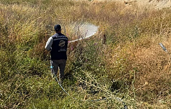 Malatya Büyükşehir Belediyesi'nden 12 Ay Kesintisiz Vektör Mücadelesi