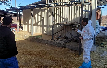 Malatya'da Hayvan Refahı Odaklı Denetimler Devam Ediyor