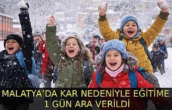 Malatya'da Kar Tedbirleri: Eğitim Durdu, Trafiğe Kısıtlama Getirildi