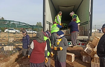 Malatya'dan Orta Asya'ya Yeşil Köprü: 50 Bin Fidan Yola Çıktı