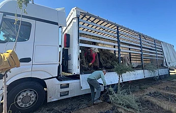 Malatya Kırsalı İçin Büyük Adım: 2 Milyon Fidanlık Mera Projesi Devrede