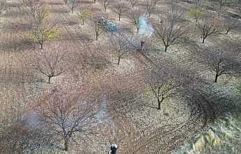 Malatya Tarım İl Müdürlüğü'nden Kayısı Üreticilerine Kritik Uyarı