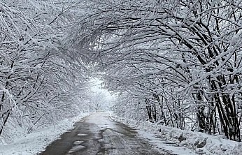 Meteoroloji'den Ulaşım ve Çığ Uyarısı