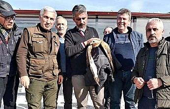 Montunu Çıkarıp Şahini Kurtardı