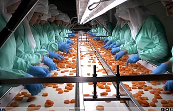 MTB Başkanı Özcan: Zirai Dona Rağmen İhracat Geliri 377 Milyon Doları Aştı