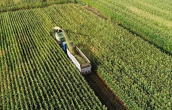 Organize Tarım Bölgeleri 2025'te 60 Bin Ton Üretim Yaptı