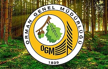 Orman Genel Müdürlüğüne 496 sözleşmeli personel alınacak