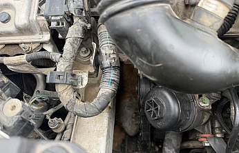 Soğuk Hava Kediyi Kaputa Hapsetti