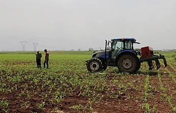 Tarım ve Orman Bakanlığı'ndan çiftçilere yeni destek paketi: 707 milyon TL