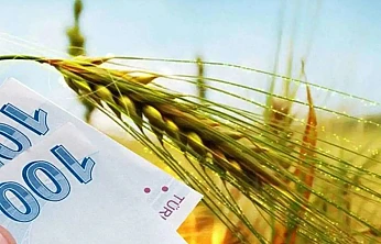 Tarımda Dev Destek: En Büyük Pay Arıcılığa