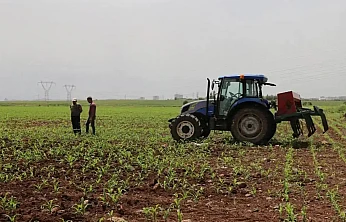 Tarımda Fiyat Baskısı Sürüyor: Sebzede Aylık Artış %30'u Geçti