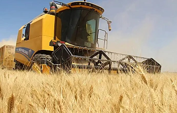 Tarımda Maliyet Baskısı Derinleşiyor: Endeks Yıllık %34,6 Yükseldi