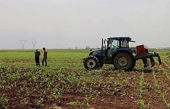 Tarımsal destekleme ödemeleri çiftçilerin hesaplarına aktarılacak