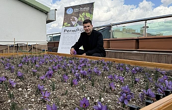 Teraslar Üretimle Buluşuyor: Ülkü Ocakları'ndan Örnek Tarım Uygulaması