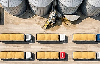 TMO 1,2 milyon ton buğdayı TÜRİB üzerinden satışa sunuyor