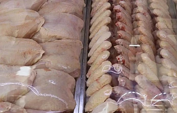 TÜİK: Tavuk Eti Artarken Yumurta Üretimi Azaldı