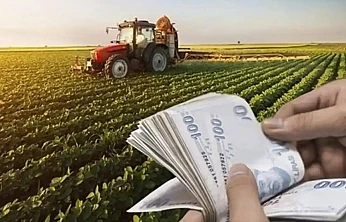 Üreticiye Destek Sürüyor: 255 Milyon Lira Ödeme Yapılıyor