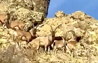 Vali Seddar Yavuz: 'Doğal Zenginliklerimizi Geleceğe Aktarmalıyız'