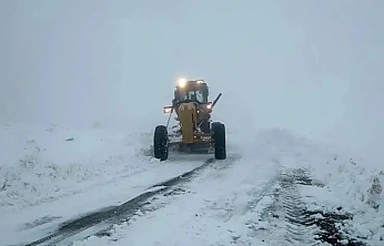 Van, Bitlis, Muş ve Hakkari'de kar alarmı