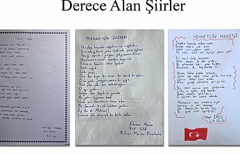 Vatan Sevgisi Şiirlerle Dile Geldi