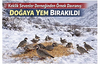 Yaban Hayvanları İçin Kritik Dönem: Avcılara Duyarlılık Çağrısı