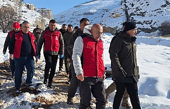 Yaban Hayvanlarına Kış Desteği