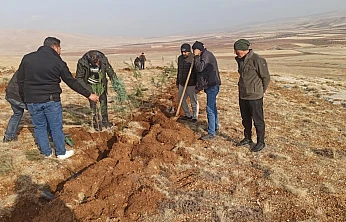 Yeniköy Mahallesi'nde 3 Bin Fidanlık Yeşil Atılım